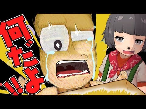 【感動】ドッキリかと思いきやガチで欲しい物を渡されて感情ジェットコースターになりました。