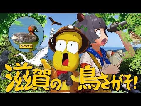相方がバードウォッチングにハマったので地元で１番有名な鳥を探します！！