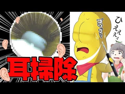 数年間掃除してない耳の中をカメラ付き耳かきで掃除したらヤバすぎた…。