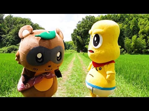 ぽんぽこがピンチです。