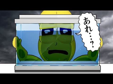 ペットに逃げられました。