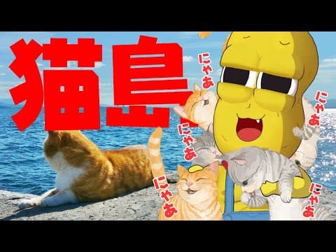 【弾丸】宮城県にある猫島に行って猫に埋もれてきました。【 仙台 石巻 】