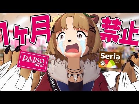 【禁欲】愛すべき100均を１ヶ月我慢したので無制限で爆買いします。【ダイソー セリア 購入品】