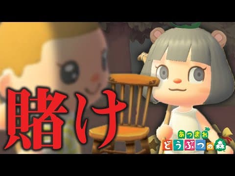 どうぶつの森で大金賭けた椅子取りゲームが面白すぎたｗｗｗ【あつまれ どうぶつの森】