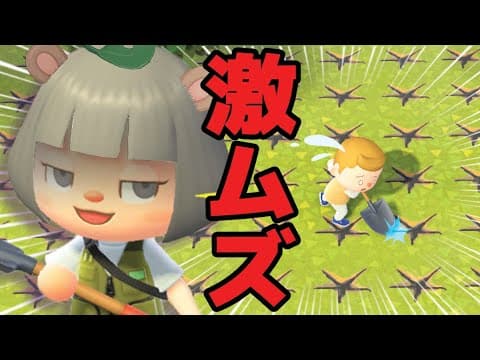 ややこしすぎるマイデザインに大金隠したったｗｗｗ【あつまれどうぶつの森】