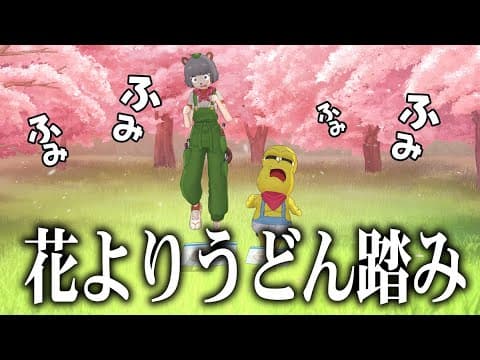 【花より団子】満開の桜の下でうどんを踏む。