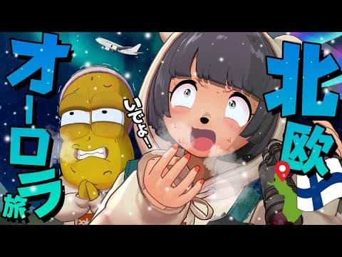 【弾丸】オーロラを探しに北欧フィンランドに上陸しました。【ロヴァニエミ】