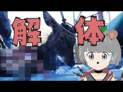 ぽんぽこ、鹿を解体するの巻！【バーチャル YouTuber】